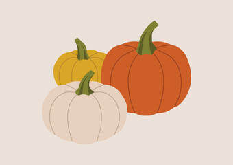 Three pumpkins in different colors with green stems, simple seasonal vegetable symbol of autumn harvest and Halloween decoration. Flat vector illustration