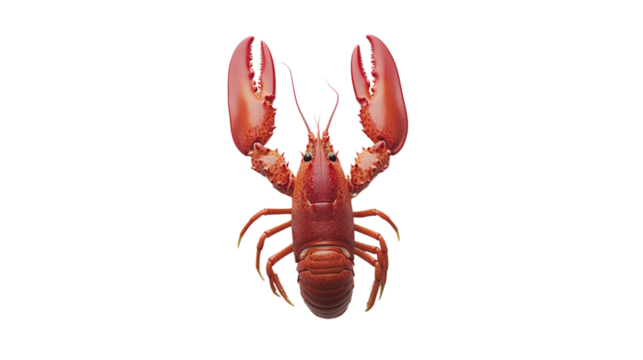 A detailed red lobster with large claws and segmented body is shown from a top view.