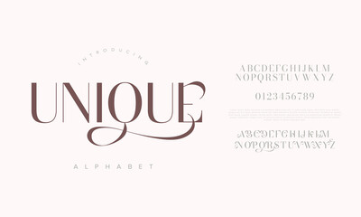 Unique alphabet font with elegant curves, perfect for invitations, branding, posters, and artistic typography projects