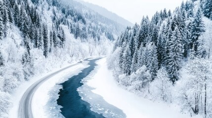 Snow-covered evergreen forest from above, frozen river winding through, soft light, serene winter wilderness 