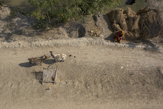 Aerial view of a woman in a red saree standing near haystacks, with chickens nearby, capturing the rustic charm of rural life, Sundarban, West Bengal, India.