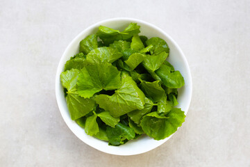 Gotu kola, fresh green leaves