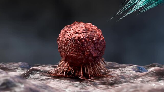 body immune response viral infection, lymphocytes, Cancer Immunotherapy, T cell and B-cell immune system fighting viruses, flagella, Dendritic or cancer tumor cells, Bacteria, 3d render