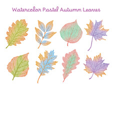 Watercolor Pastel Autumn Leaves Illustration