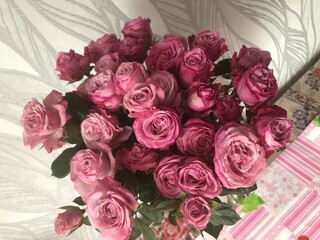 bouquet of pink roses
