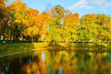 Autumn landscape, Karpiev pond in Summer garden with walking people. Autumn sunny landscape of St Petersburg, Russia