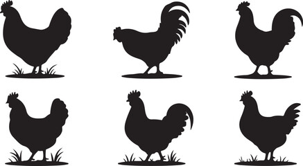chicken silhouettes. vector set. PNG white background