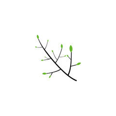 Plant, tree, leaves geometric symbol simple logo vector