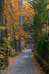 Fototapeta premium 日本の風景・秋 人気のリゾート地 紅葉の軽井沢 ハッピーバレー