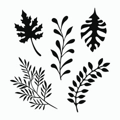Set of leaves silhouette of beautiful plants, leaves, plant design. collection forest fern eucalyptus art foliage natural leaves herbs Vector illustration