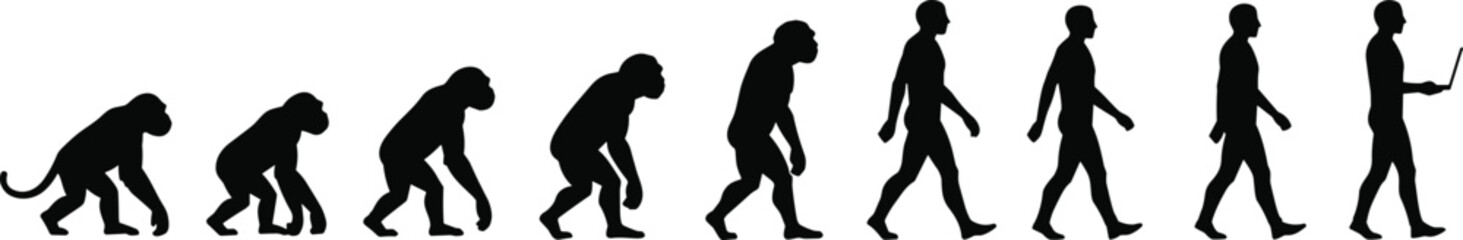 Human evolution from ape to man with laptop silhouette on white background Keywords: silhouette
