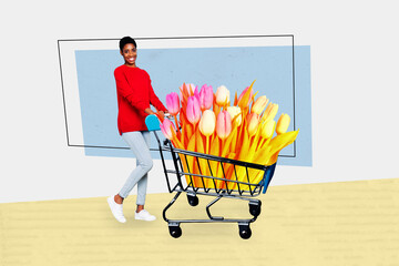 Creative artwork sketch image 3D collage of young woman smile hand hold pushcart supermarket...