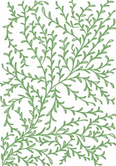 Seamless plant pattern