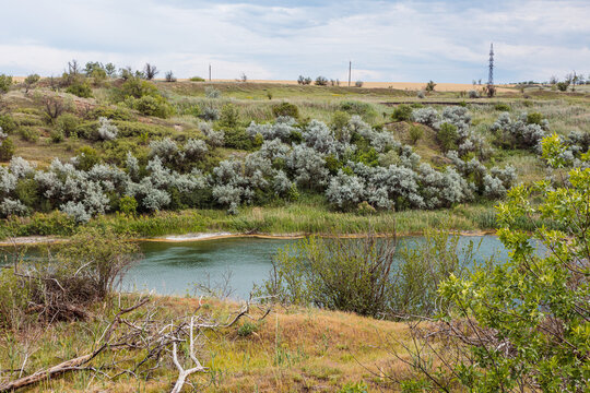 a pond formed on the site of a former quarry overgrown with trees and greenery on a sunny summer day. In the foreground are dry branches.