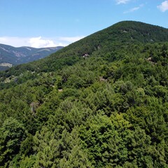 Mountain landscape with dense forests