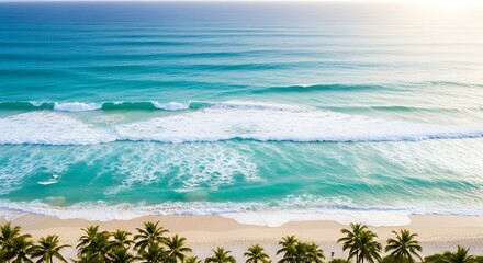 High Angle View of a Tropical Paradise Beach with Turquoise Ocean Waves