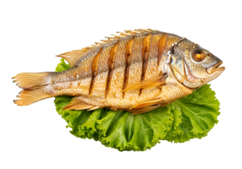 Delicious Grilled Fish with Lettuce on a Plate isolated on transparent background

