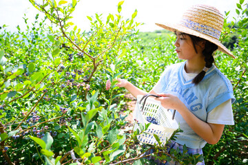 農園でブルーベリー狩りを楽しむ麦わら帽子の女の子