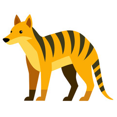 yellow fox isolated on white