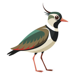 vector illustration of a bird