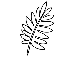 Fototapeta premium Black and white line drawing of a fern frond leaf plant