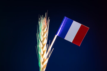 French flag on stick next to golden wheat spike against dark blue background, symbolizing...