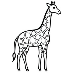 Obraz premium giraffe ,outline illustration isolated on white background