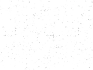 紙吹雪、m6白、11多