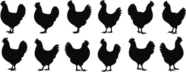 chicken bird silhouettes, poultry farm animal shapes, domestic fowl illustration, rooster and hen vector set, agriculture livestock graphic, farmyard bird artwork © Ideasy Mind