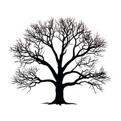 Obraz premium Silhouette of a Bare Dead Tree with Wide Branch Spread, isolated on a transparent background