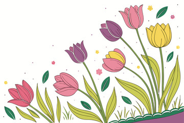 vector illustration of tulips