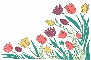 vector illustration of tulips