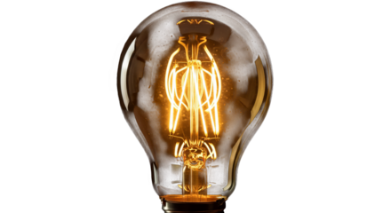 Glowing Vintage Edison Light Bulb On Black
