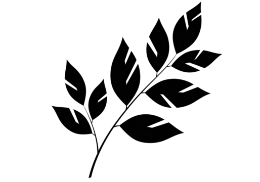 Black botanical leaf branch illustration isolated PNG with Transparent Background
