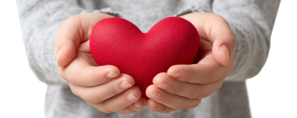 Person Holding Red Heart in Hands for Love and Care Concept