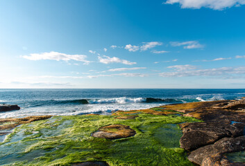 rocky shore of the Arctic Ocean without people