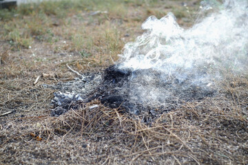 Smoke billows from the remains of rubbish burned on the ground