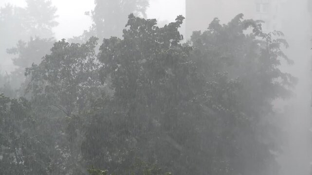 Bad weather, storm. Heavy rain and wind in city. Wind shakes trees