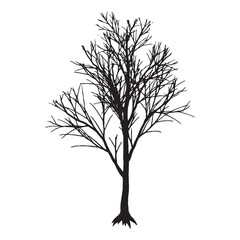 Leafless Tree Illustration