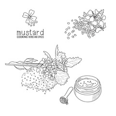 Hand-drawn mustard with a line art engraved style.
