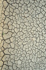 dry cracked earth