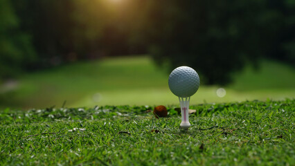 Golf ball on tee in a beautiful golf course with morning sunshine.