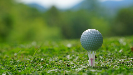 Golf ball on tee in a beautiful golf course with morning sunshine.