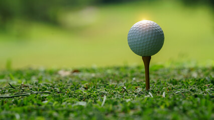 Golf ball on tee in a beautiful golf course with morning sunshine.