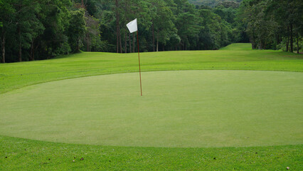 Obraz premium Green grass and woods on a golf field. View of Golf Course with beautiful putting green.