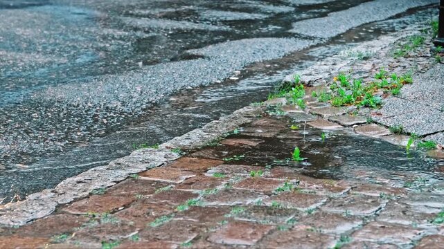 Tytuł: Rain Water Puddle Formed on Sidewalk Pavement during Heavy Rainfall Rainy Day
