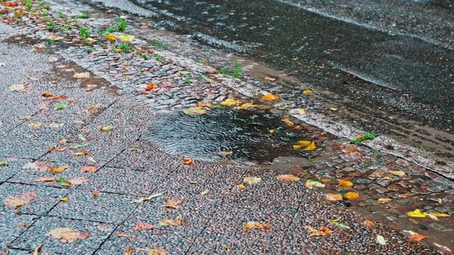 Rain Water Puddle Formed on Sidewalk Pavement during Heavy Rainfall Rainy Day