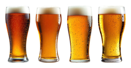 Four tall glasses of golden beer with foamy white heads and rising bubbles transparent background
