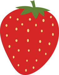 colorful strawberry vector illustration