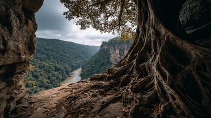 View from rocky cave opening to lush forest valley with winding river and exposed tree roots under moody sky